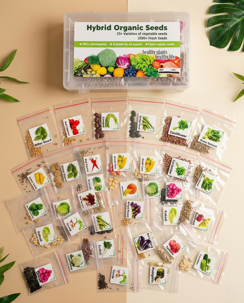 2500+ Mega Vegetable Seeds Box ( 25+ Variety)