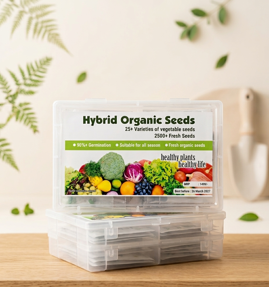 2500+ Mega Vegetable Seeds Box ( 25+ Variety)