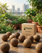 Seed ball Combo